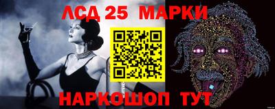 тгк Новозыбков