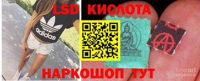 каннабис Новокубанск