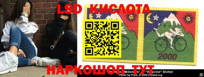 тгк Новозыбков
