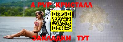 тгк Новозыбков
