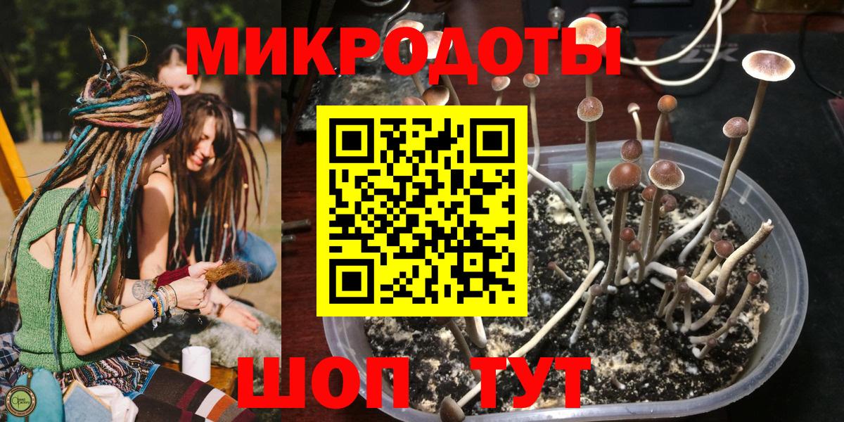 Туапсе  Галлюциногенные грибы прущие грибы  Вход с VPN  Галлюциногенные грибы Psilocybe 