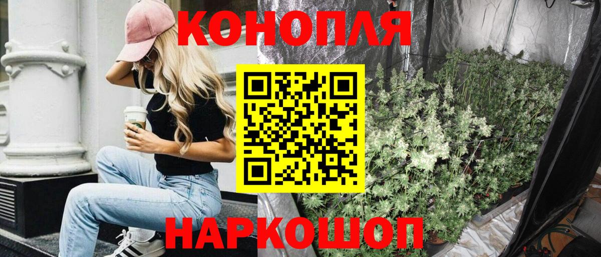 Конопля планчик  МАРИХУАНА OG Kush  Вход с VPN  Туапсе 